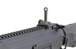 G&G TR16 SBR 308 MK I Black AEG Rifle