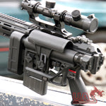 Custom Build G&G TR80 DMR AEG