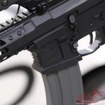 Custom Build G&G Wildhog 13.5" AEG