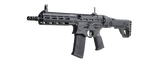 G&G MCP 556 AEG