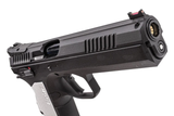 KJ Works GBBP CZ TS2