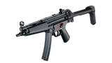 ICS CES-P A5 S3